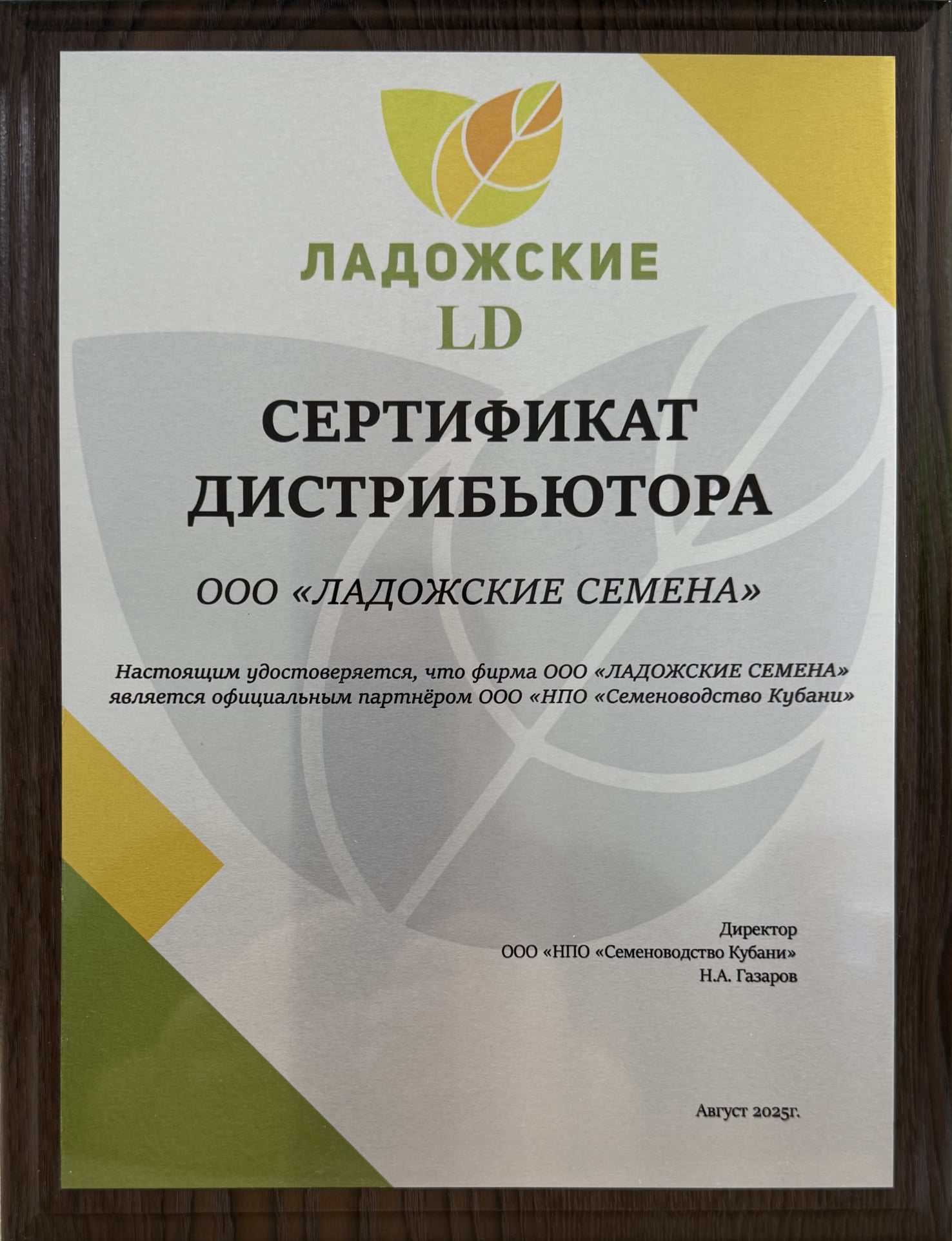Команда